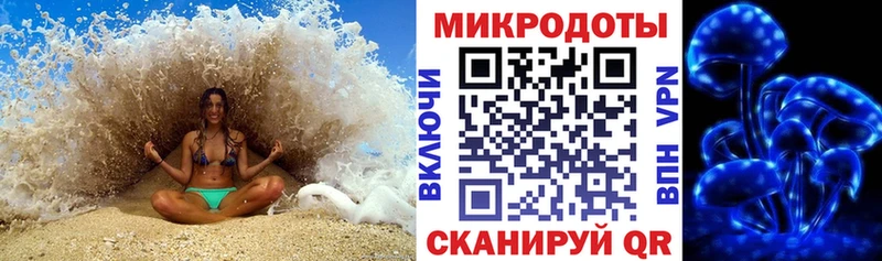 что такое   Пласт  Галлюциногенные грибы Psilocybe 